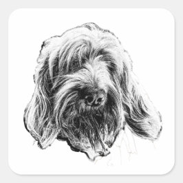 Adesivo Quadrado Spinone Italiano Art Sticker