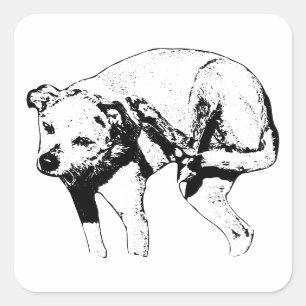 Adesivo Quadrado Spooky Little Scratcher