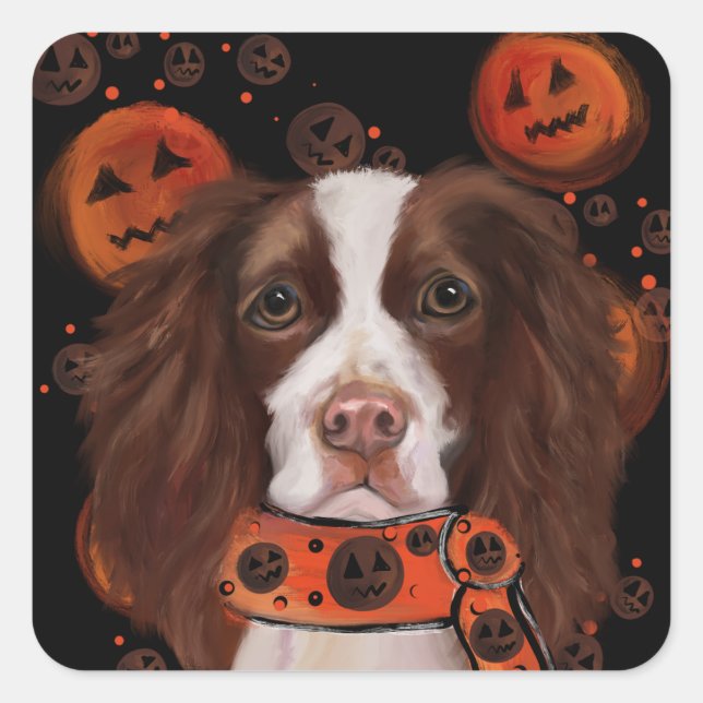 Adesivo Quadrado Springer Spaniel Inglês        (Frente)