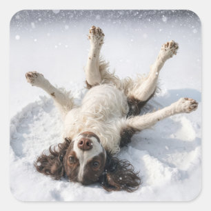 Adesivo Quadrado Springer Spaniel Inglês Fazendo um Anjo de Neve