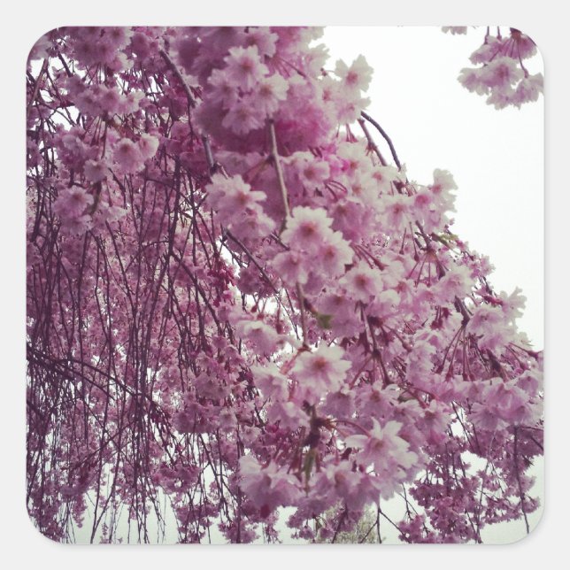 Adesivo Quadrado Springtime (Frente)