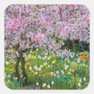 Adesivo Quadrado Springtime no jardim de Claude Monet