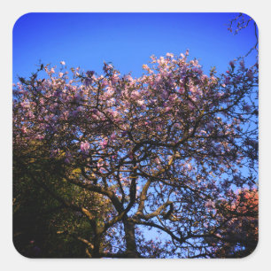 Adesivo Quadrado Star Magnoly Stickers