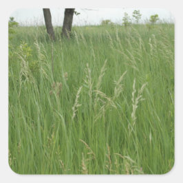 Adesivo Quadrado Sticker de Grama de Verão por H.A.S. Arts