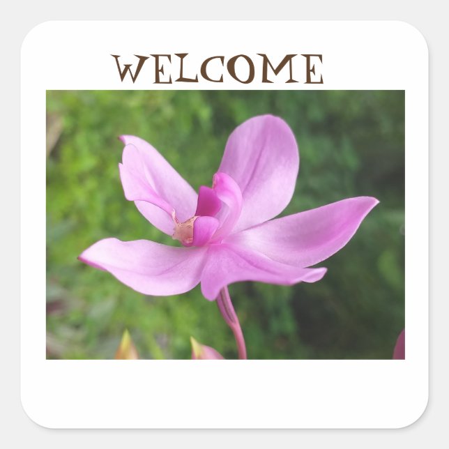 Adesivo Quadrado Sticker FOR WELCOME (Frente)