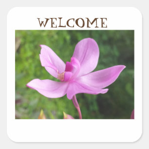 Adesivo Quadrado Sticker FOR WELCOME