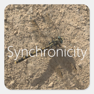 Adesivo Quadrado Sticker 'Synchronicity'