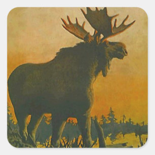 Adesivo Quadrado Sticker Willife Bull Moose @ Twilight Sundown