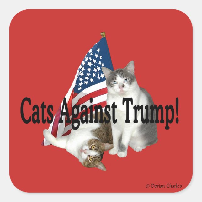 Adesivo Quadrado Stickers "Cats Against Trump" (Frente)