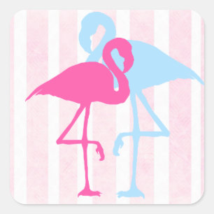 Adesivo Quadrado Stickers Flamingo, cor-de-rosa e azuis