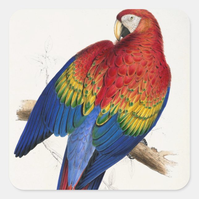 Adesivo Quadrado Stickers Tropicais (Frente)