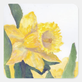 Adesivo Quadrado Stickr Yellow Daffodil no Nantucket