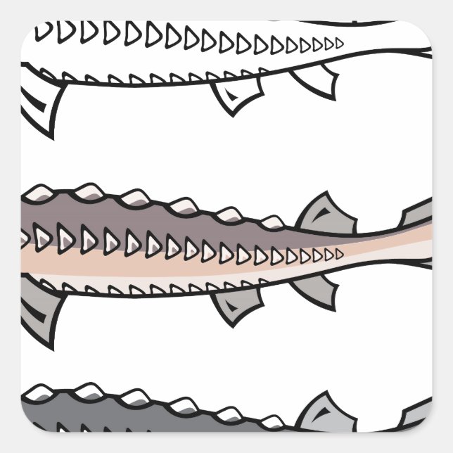 Adesivo Quadrado Sturgeon Rara (Frente)