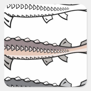 Adesivo Quadrado Sturgeon Rara