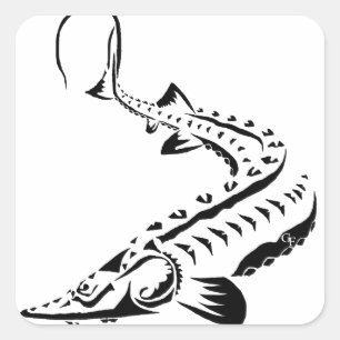 Adesivo Quadrado Sturgeon Tribal - Nariz