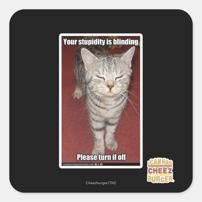 Adesivo Quadrado Sua estupidez está cegando 2 (Frente)