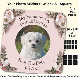 Adesivo Quadrado Sua Foto de Animal de Estimação, Salve a Data, Ros