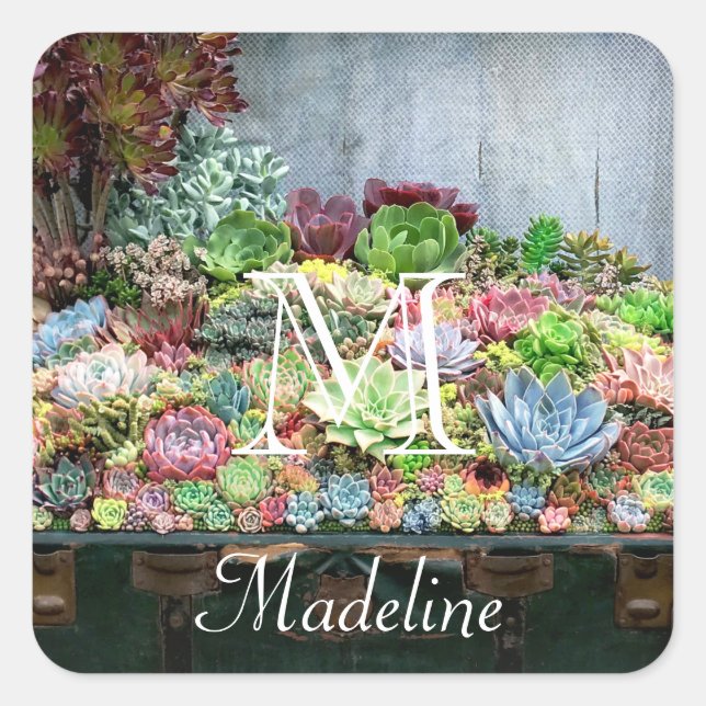 Adesivo Quadrado Sucultivos no tesouro (Frente)