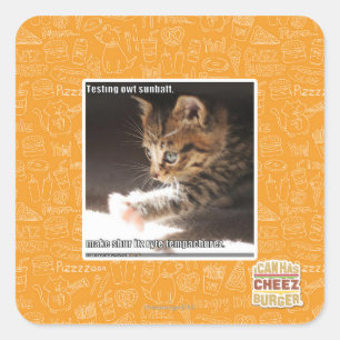 Adesivo Quadrado Sunbaff do owt do teste