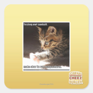 Adesivo Quadrado Sunbaff do owt do teste