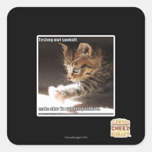 Adesivo Quadrado Sunbaff do owt do teste