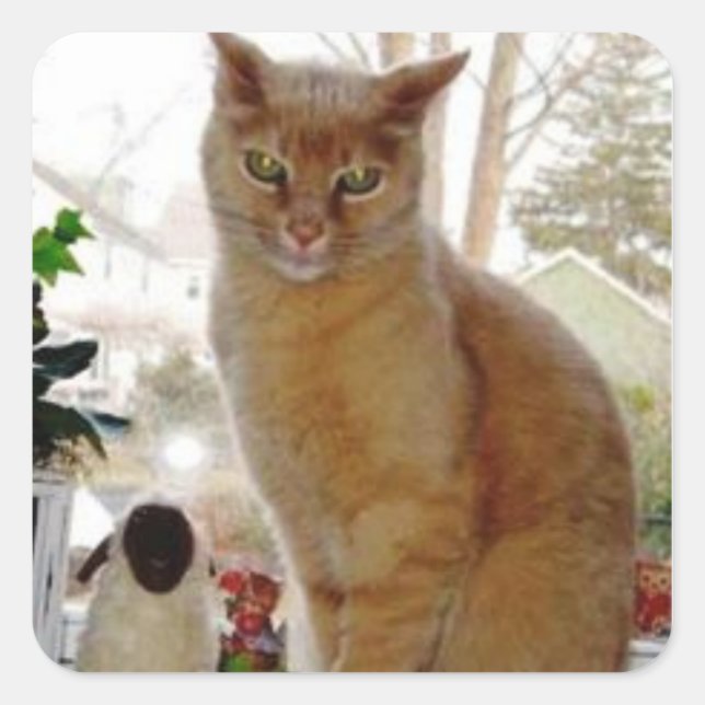 Adesivo Quadrado Sunny Papoochie Stickers (Frente)