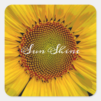 ADESIVO QUADRADO SUNSHINE SUNSHINE SQUARE STICKER