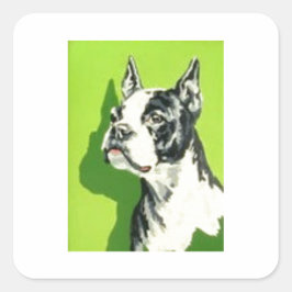 Adesivo Quadrado Super Sweet Vintage Meio século Boston Terrier