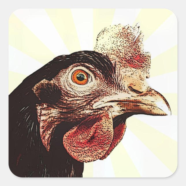 Adesivo Quadrado Superstar Frango Funky Grumpy (Frente)