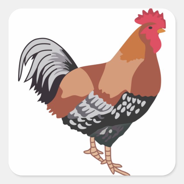 ADESIVO QUADRADO SUSSEX ESPECIFICADO (Frente)