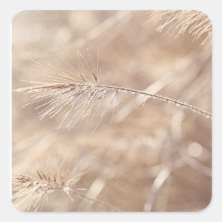 Adesivo Quadrado "Sussurros da Beleza da Natureza"