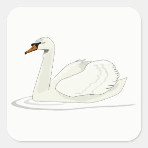 Adesivo Quadrado Swan