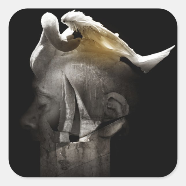 Adesivo Quadrado Swan 2013 (Frente)