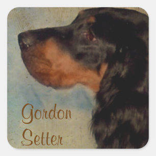 Adesivo Quadrado Sweet Gordon Setter Sticker
