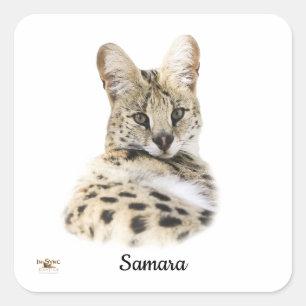 Adesivo Quadrado Sweet Samara