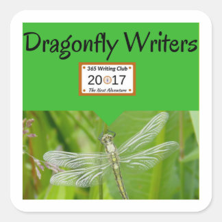Adesivo Quadrado Tampas de Dragonfly!