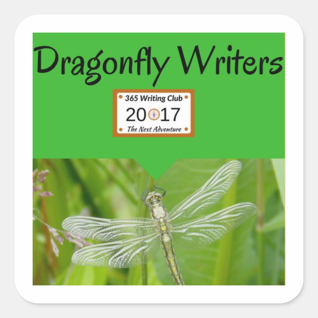 Adesivo Quadrado Tampas de Dragonfly! (Frente)