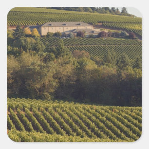 Adesivo Quadrado Tan Building Summit fica em cima da colina