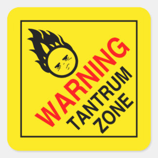 Adesivo Quadrado Tanrum Zone