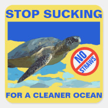 TARTARTARUGA MARÍTIMA