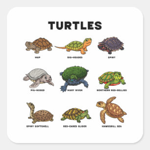 Adesivo Quadrado Tartarugas de Desenhos Animados Fofas do Mundo