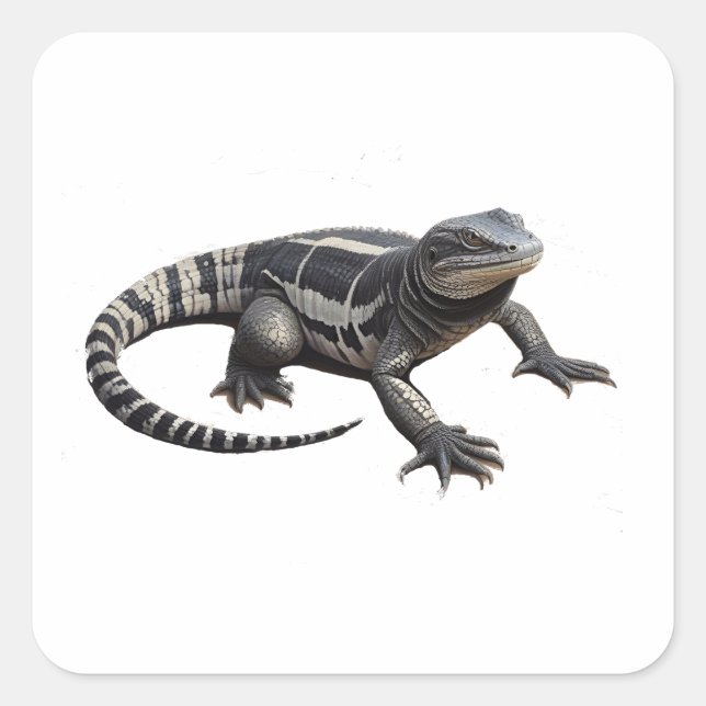 Adesivo Quadrado Tegu Negro E Branco Da Argentina (Frente)