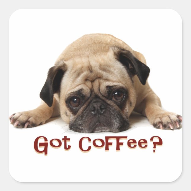 Adesivo Quadrado Tem café? Pug Sticker (Frente)