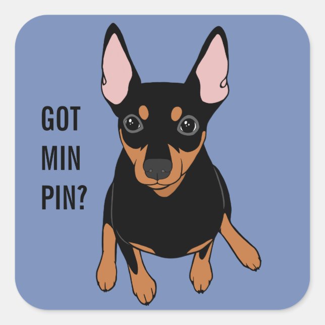 Adesivo Quadrado Tem Min Pin? Vinheta Miniatura Pinscher (Preto) (Frente)