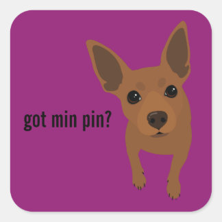 Adesivo Quadrado Tem Min Pin? Vinheta Miniatura Pinscher (Vermelho)
