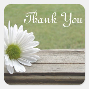 Adesivo Quadrado Tema da margarida