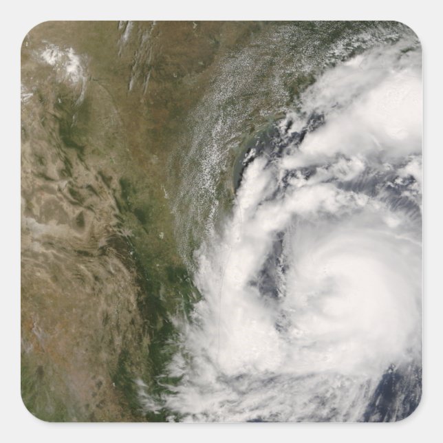 Adesivo Quadrado Tempestade tropical Dolly (Frente)