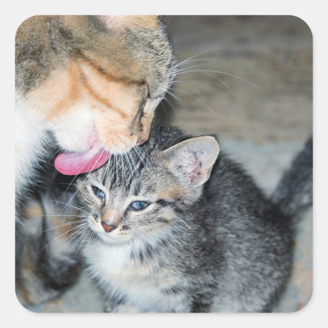 Adesivo Quadrado Tempo de banho (Frente)