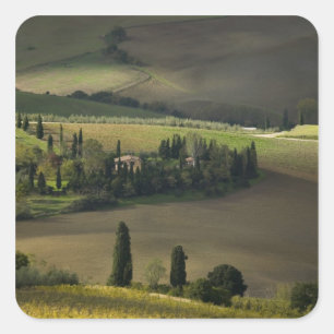 Adesivo Quadrado Terra agrícola ao redor de Montepulciano, Toscana,