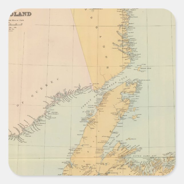 Adesivo Quadrado Terra Nova (Frente)